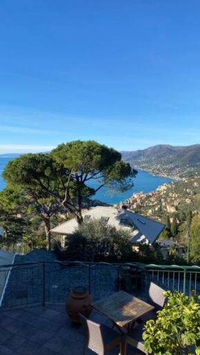 Casa Portofino, Camogli